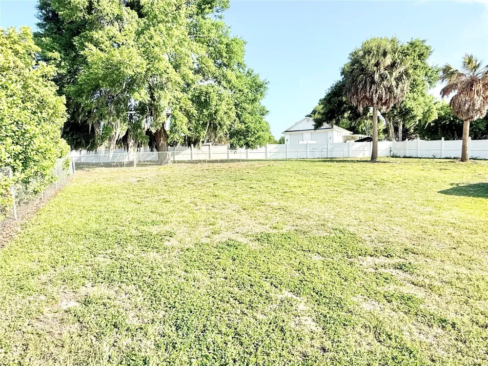 3155 LAKESHORE DRIVE Mount Dora, FL 32757