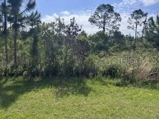 12 DESOTO (RED GRANGE BLVD) AVENUE