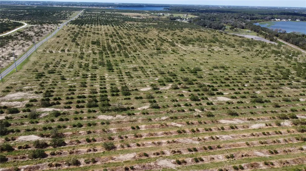 3162 POWER LINE ROAD Avon Park, FL 33825