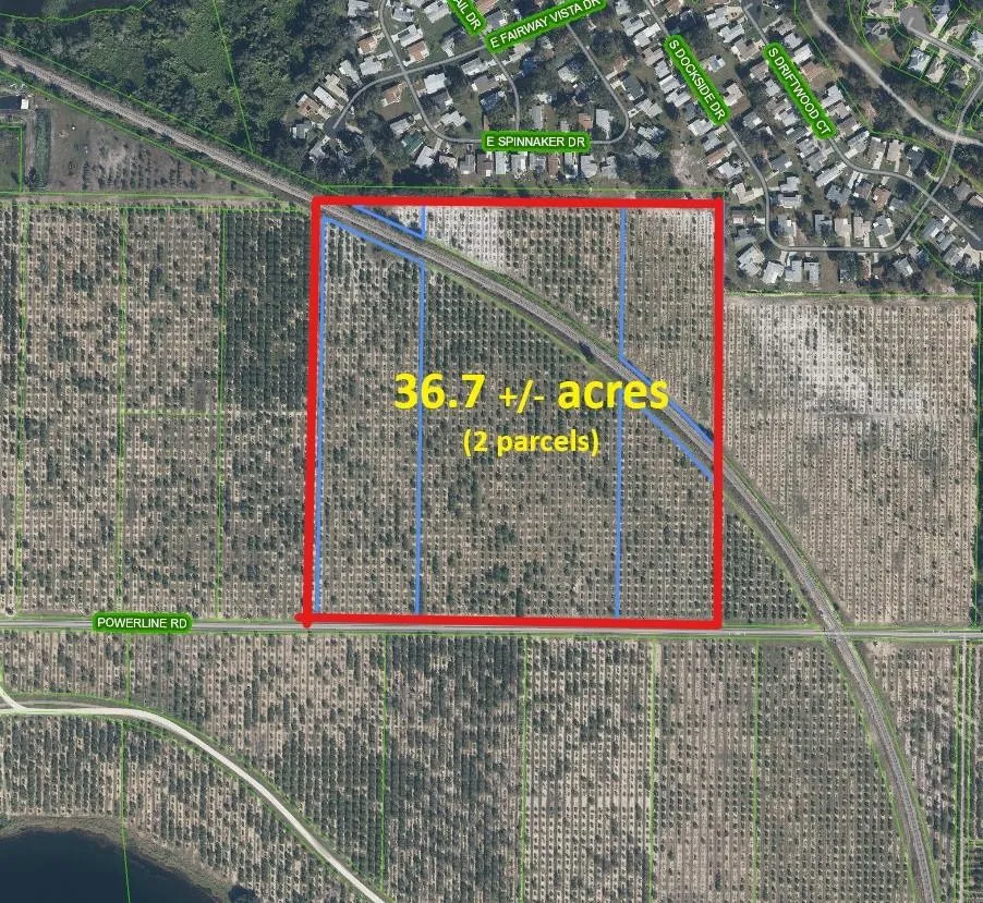 3162 POWER LINE ROAD Avon Park, FL 33825