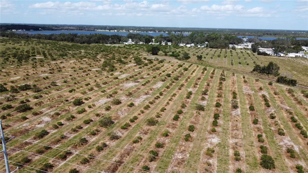 3162 POWER LINE ROAD Avon Park, FL 33825