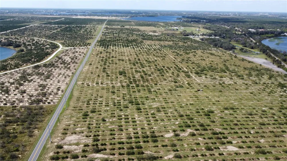 3162 POWER LINE ROAD Avon Park, FL 33825