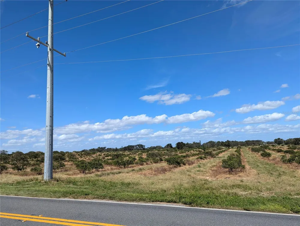 3162 POWER LINE ROAD Avon Park, FL 33825