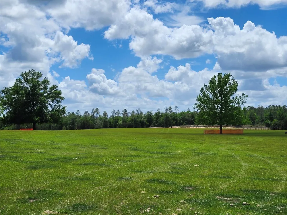 0 CHRISTIAN ROAD #Lot 1 Dade City, FL 33523