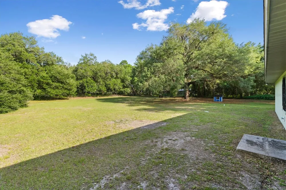 7175 COUNTY ROAD 213 Wildwood, FL 34785