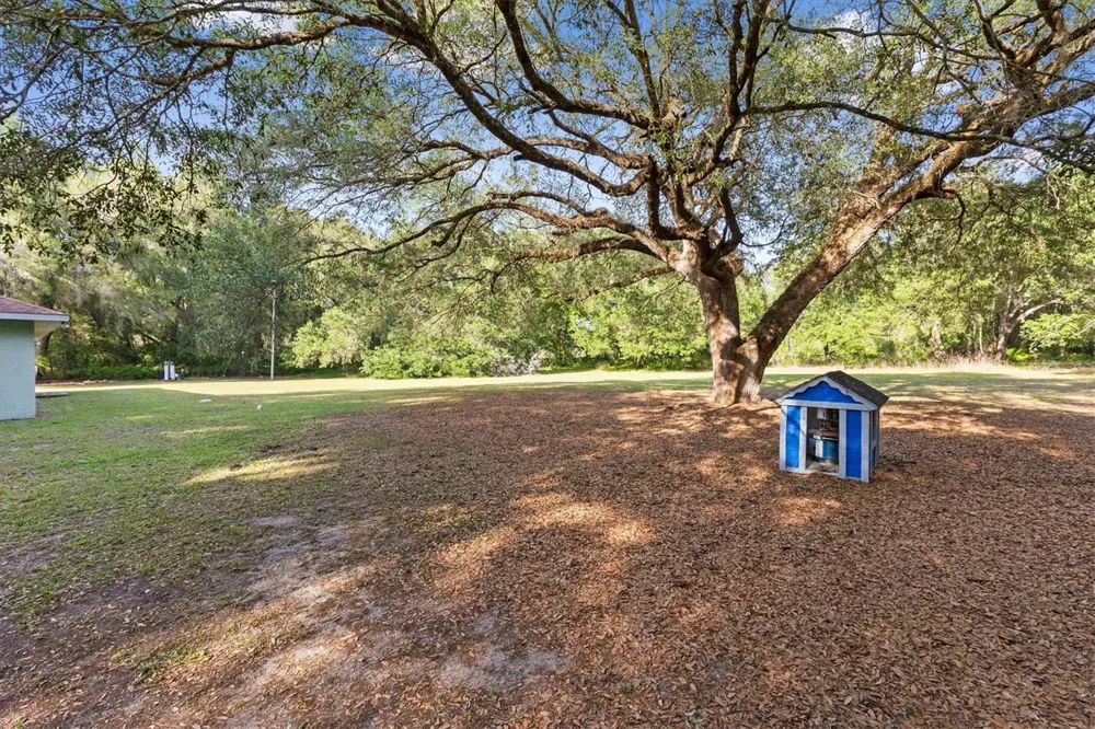 7175 COUNTY ROAD 213 Wildwood, FL 34785