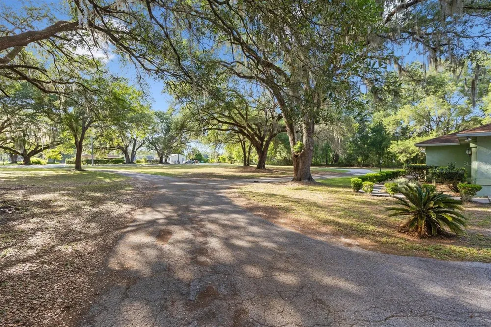 7175 COUNTY ROAD 213 Wildwood, FL 34785