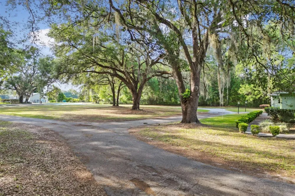 7175 COUNTY ROAD 213 Wildwood, FL 34785