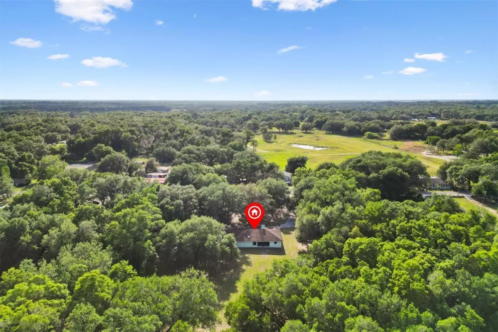 7175 COUNTY ROAD 213 Wildwood, FL 34785