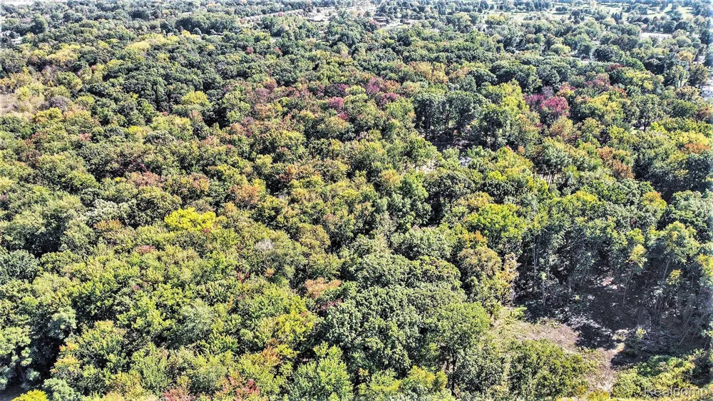 1 Hobson Waterford Charter Township, MI 48328
