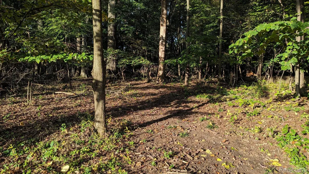1 Hobson Waterford Charter Township, MI 48328