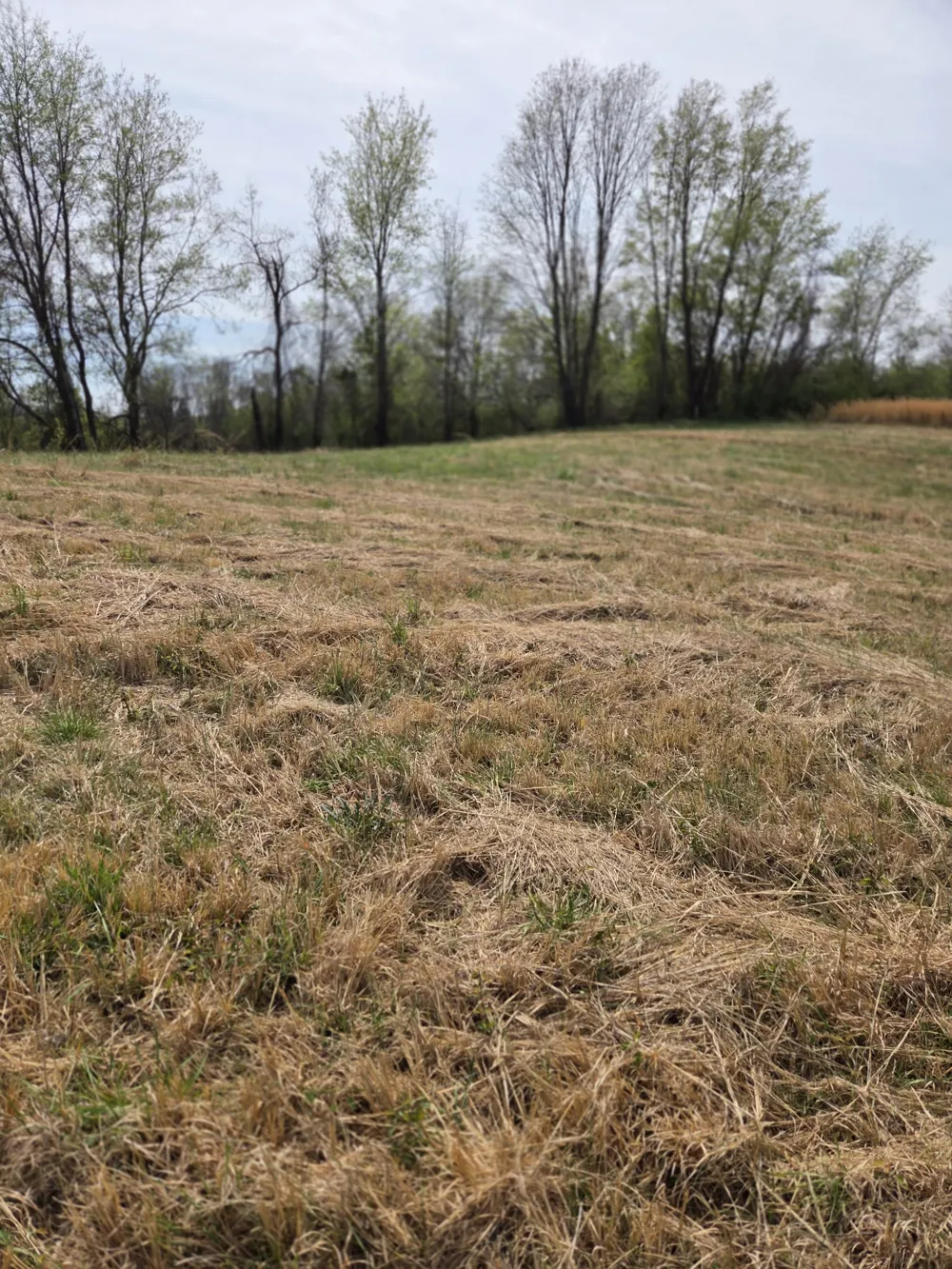 0 Hancock Dr Morrison, TN 37357