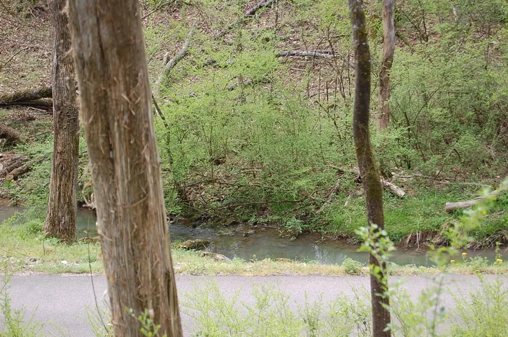 2 Riverbend Lane Dunlap, TN 37327