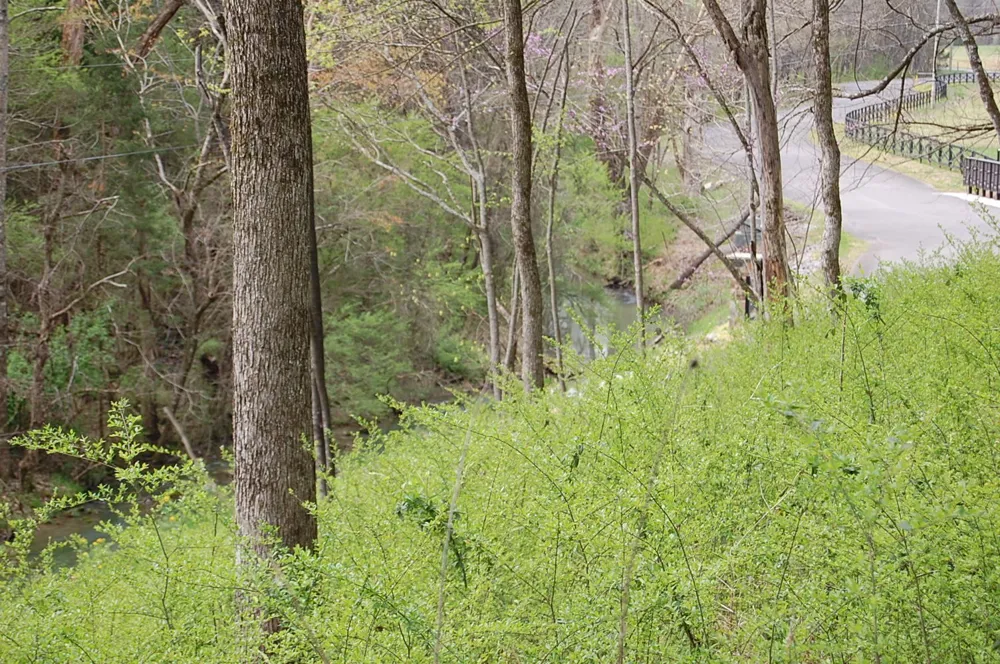 2 Riverbend Lane Dunlap, TN 37327
