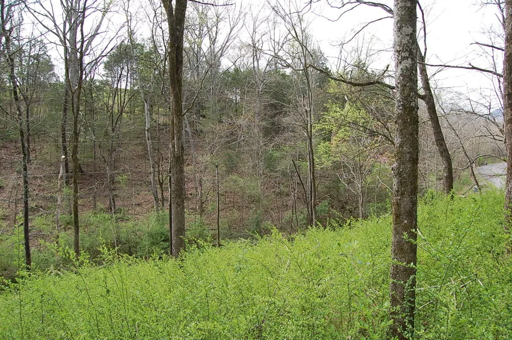 2 Riverbend Lane Dunlap, TN 37327
