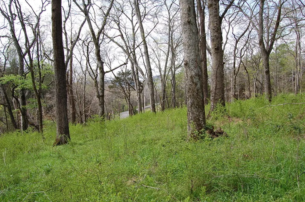 2 Riverbend Lane Dunlap, TN 37327