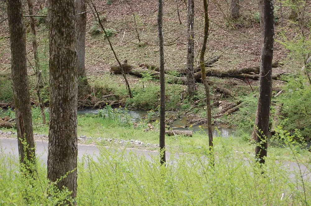 2 Riverbend Lane Dunlap, TN 37327