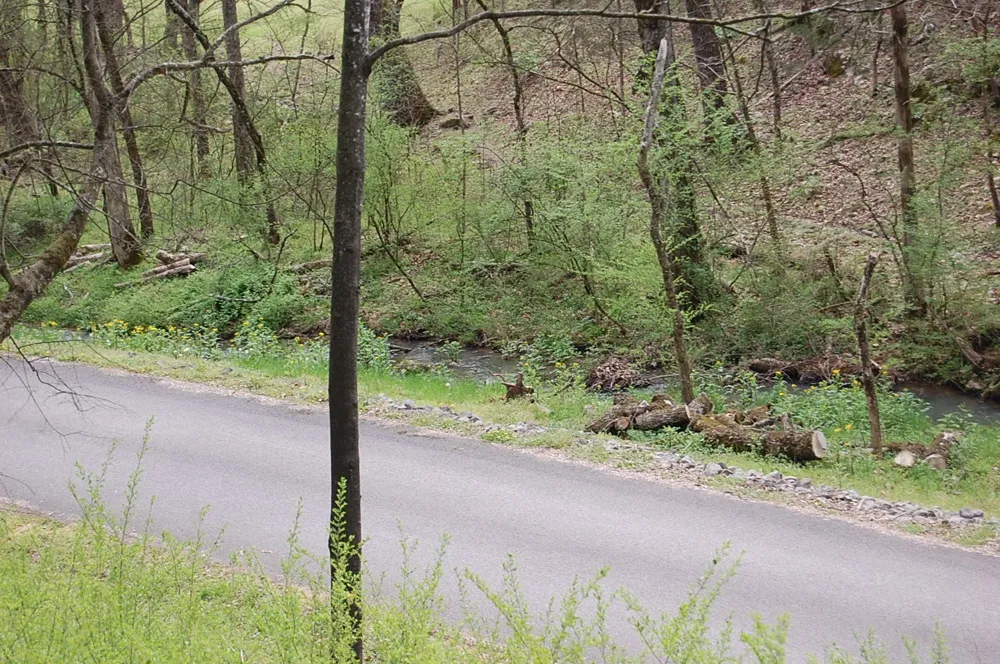 2 Riverbend Lane Dunlap, TN 37327