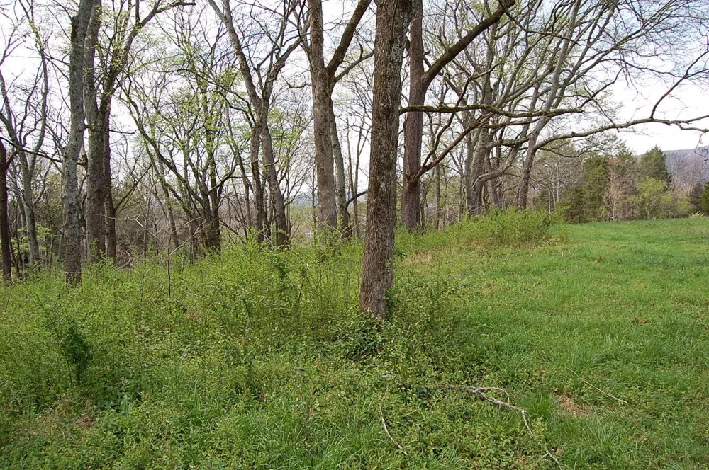 2 Riverbend Lane Dunlap, TN 37327