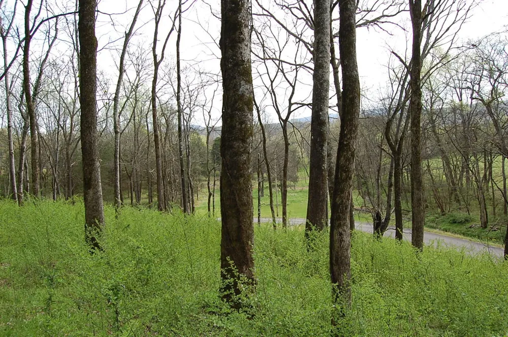 2 Riverbend Lane Dunlap, TN 37327
