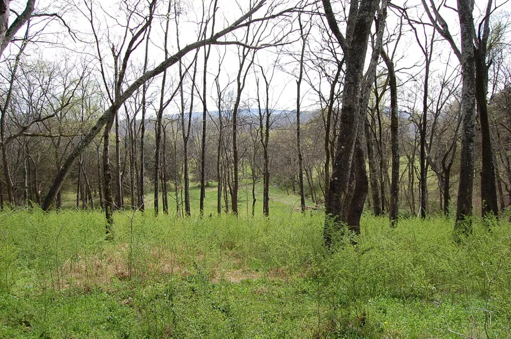 2 Riverbend Lane Dunlap, TN 37327