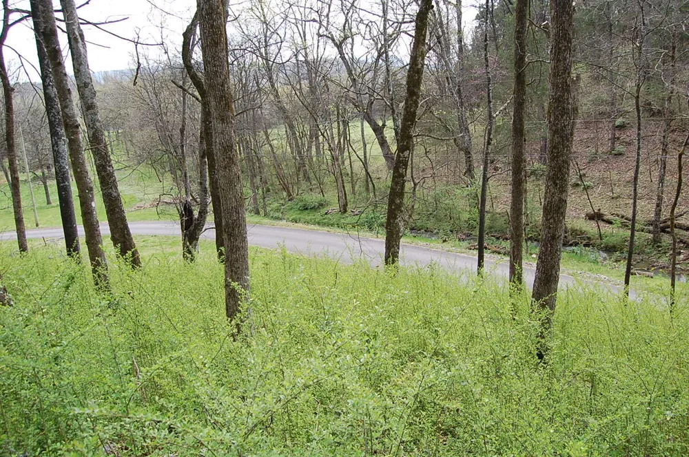 2 Riverbend Lane Dunlap, TN 37327