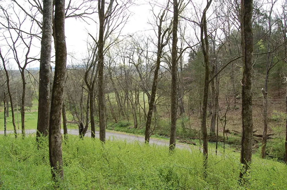 2 Riverbend Lane Dunlap, TN 37327