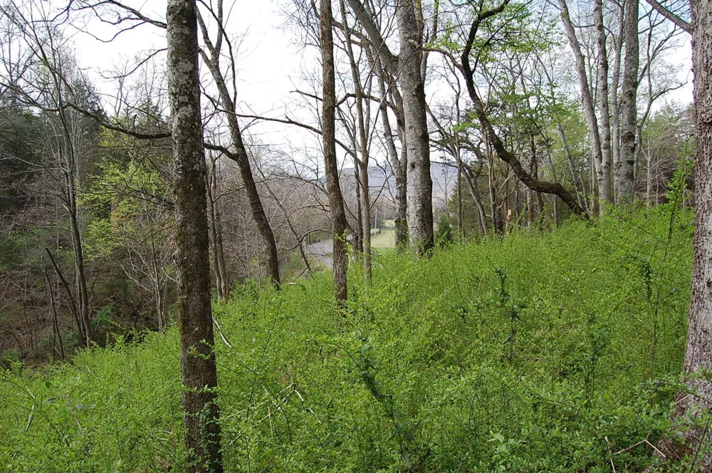 2 Riverbend Lane Dunlap, TN 37327