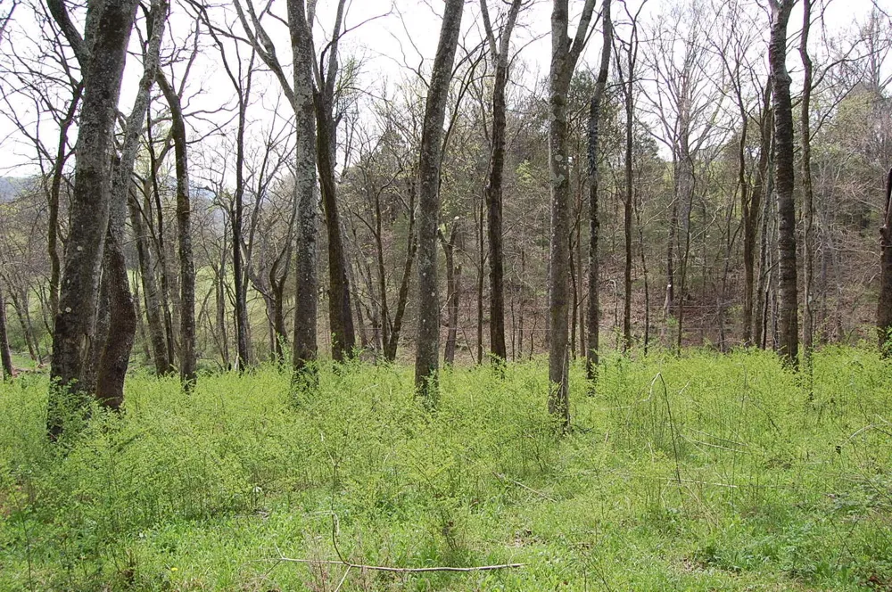 2 Riverbend Lane Dunlap, TN 37327