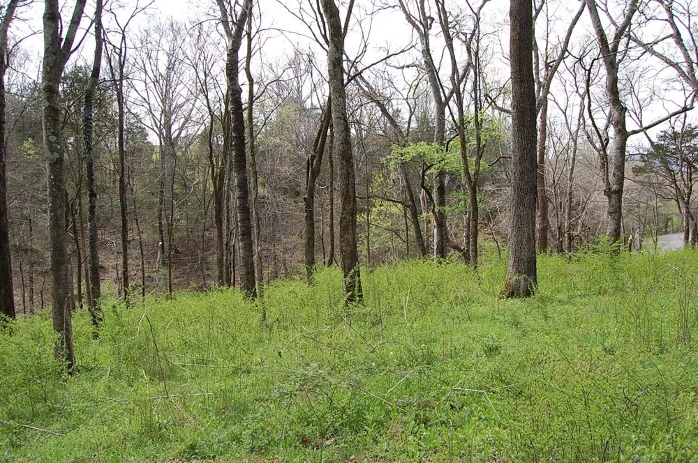 2 Riverbend Lane Dunlap, TN 37327