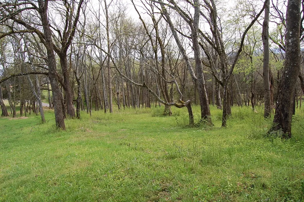 2 Riverbend Lane Dunlap, TN 37327