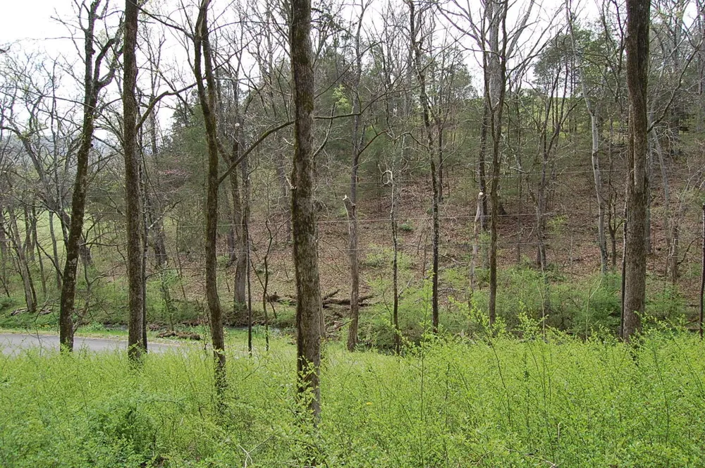 2 Riverbend Lane Dunlap, TN 37327