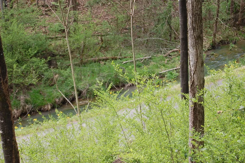 2 Riverbend Lane Dunlap, TN 37327
