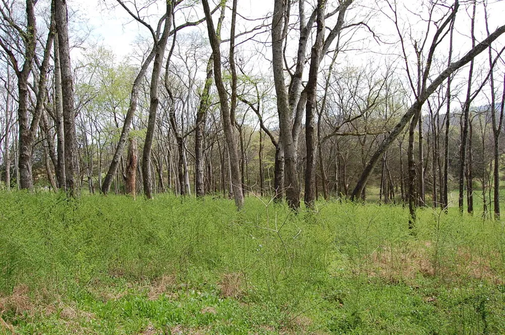 2 Riverbend Lane Dunlap, TN 37327