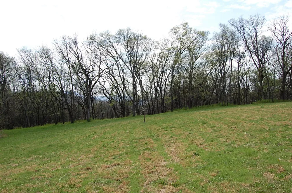 2 Riverbend Lane Dunlap, TN 37327