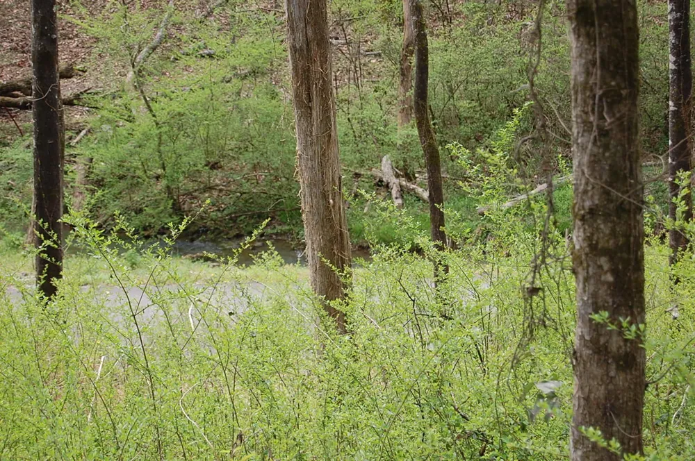 2 Riverbend Lane Dunlap, TN 37327