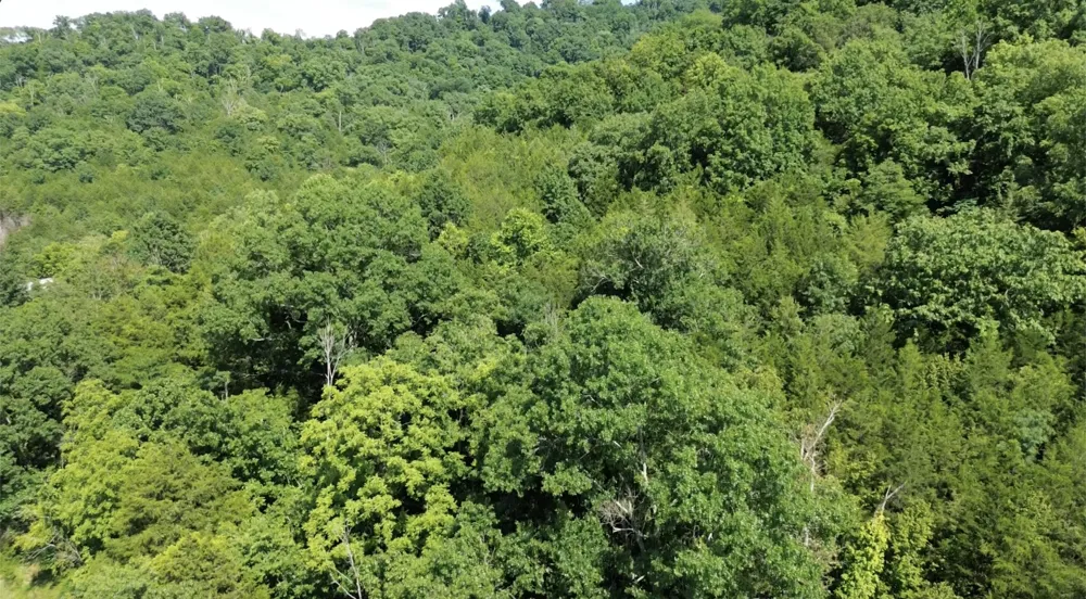 0 Hackett Hollow Ln Pleasant Shade, TN 37145