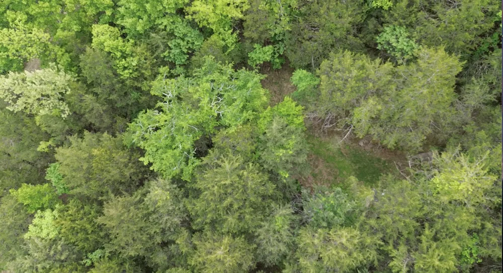 0 Hackett Hollow Ln Pleasant Shade, TN 37145