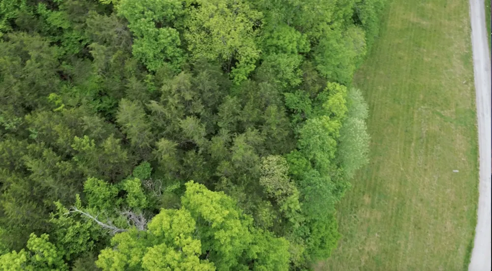0 Hackett Hollow Ln Pleasant Shade, TN 37145