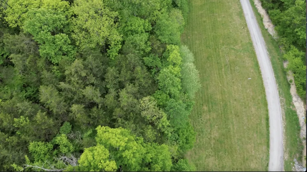 0 Hackett Hollow Ln Pleasant Shade, TN 37145