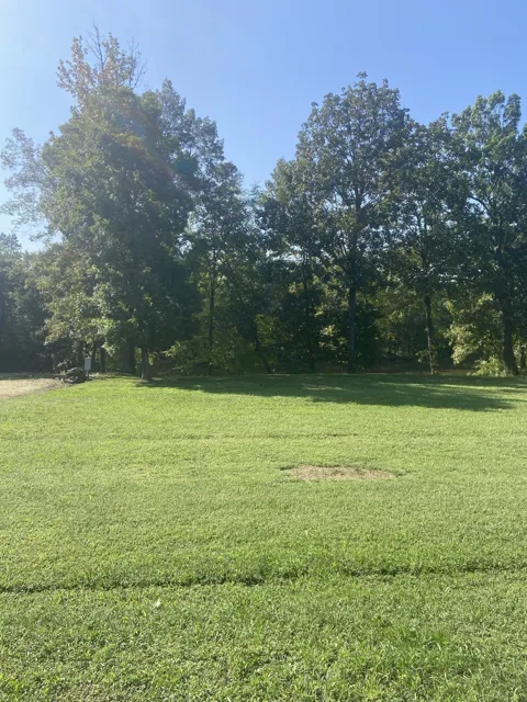 390 Duck Blind Rd