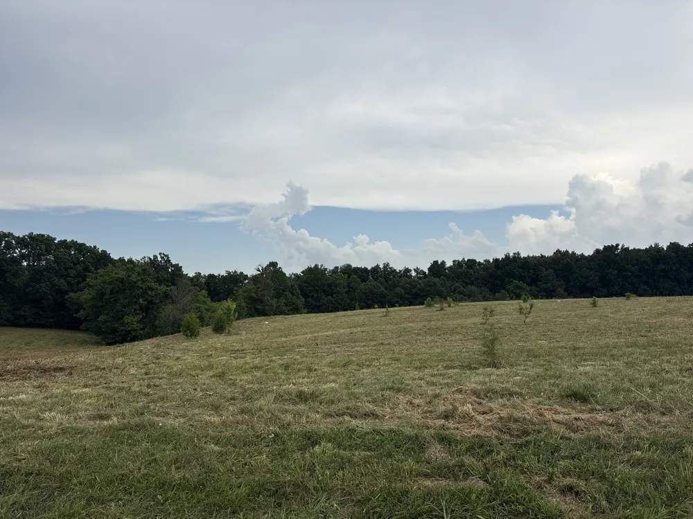 210 Nubia Rd Westmoreland, TN 37186
