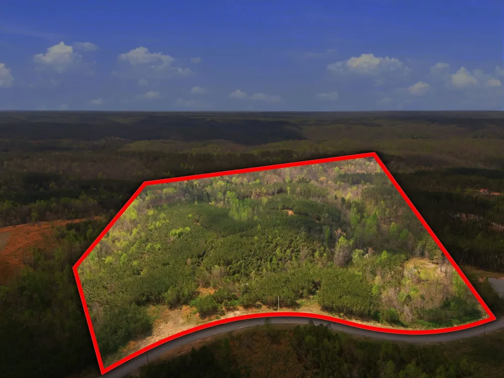 147 Starlight Dr Linden, TN 37096