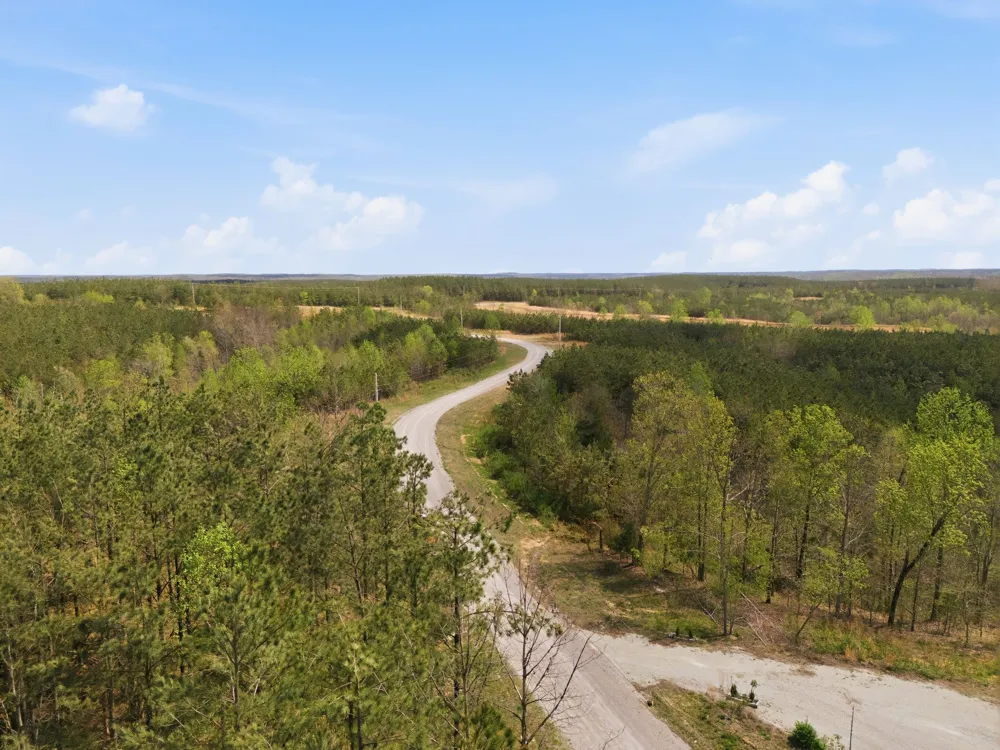 147 Starlight Dr Linden, TN 37096