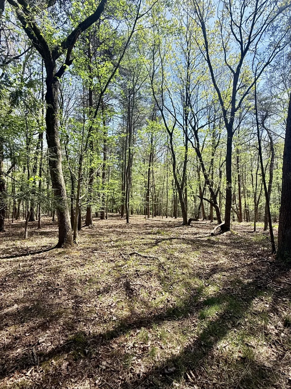 0 Timberwood Trace Monteagle, TN 37356