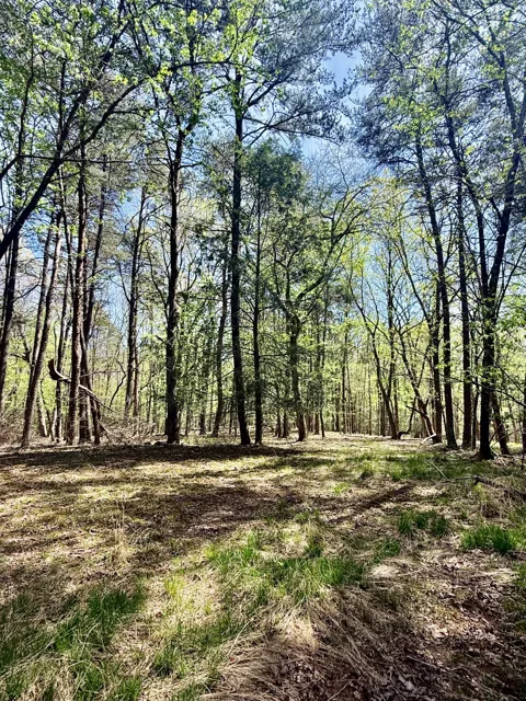 0 Timberwood Trace Lot 310