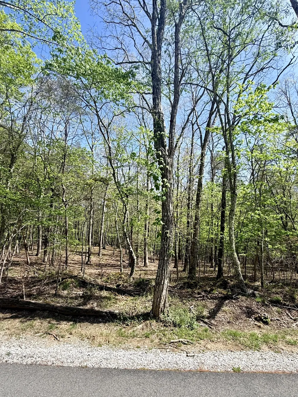 0 Timberwood Trace Monteagle, TN 37356