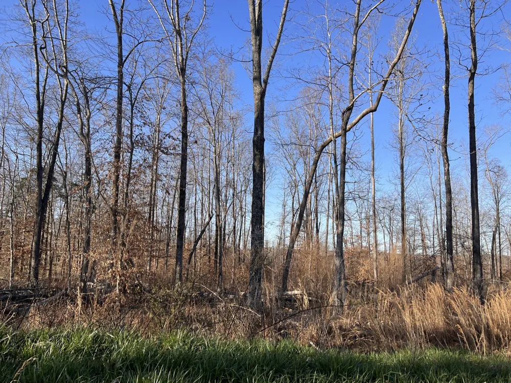 1 Water Ridge Dr Sparta, TN 38583