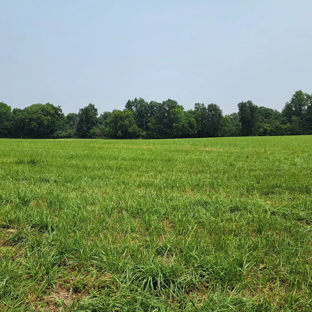 0 Red River School Rd Portland, TN 37148