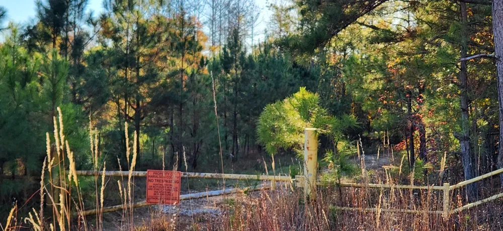0 Budapest Rd Road Tallapoosa, GA 30176